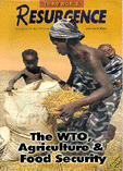 The WTO, Agriculture and Food Security